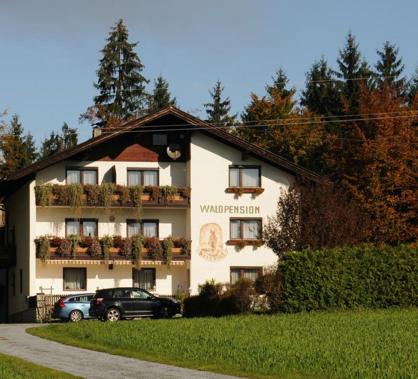 Waldpension 施弗灵希 外观 照片